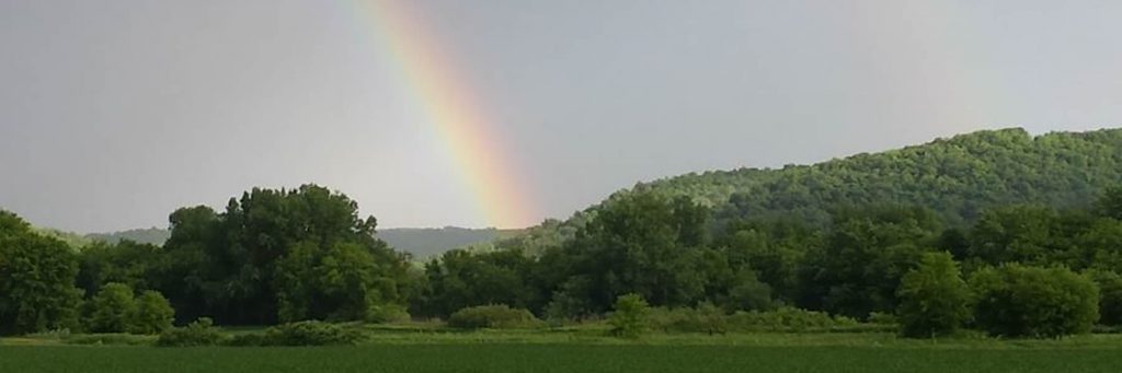 Rushford Village Economic Development