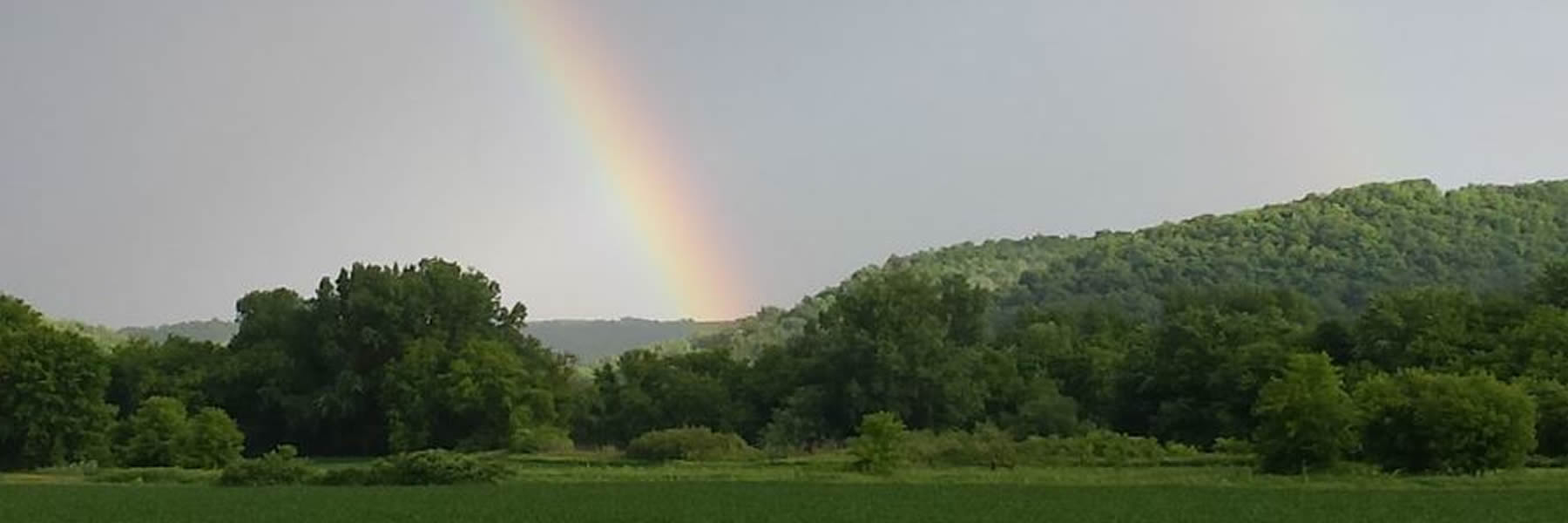Rushford Village Economic Development