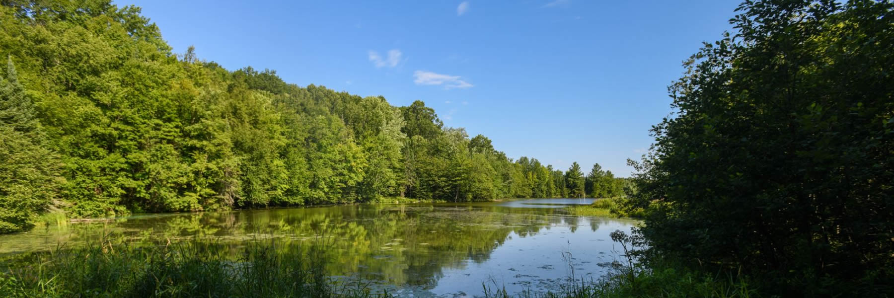 Rusk County, WI