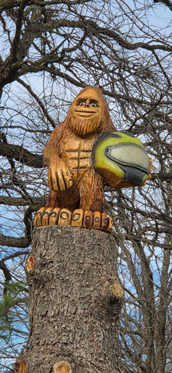Remer, MN